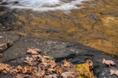 Convergence - Water as Art in Nature