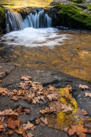 Sweet Creek Falls - 2V_063014