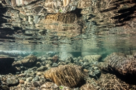 Over-Undewaterr - 1S_016811