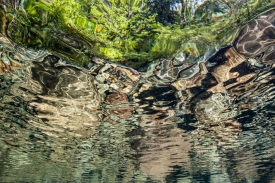 Over-Underwater - 3H_038011