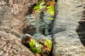 Over-Underwater - 1S_209511
