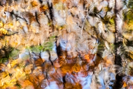 Water Colors - 3H_399212
