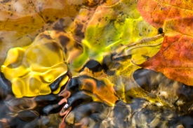 Water Colors - 3H_261307