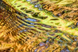 Water Colors - 3H_388512