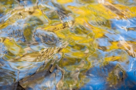 Water Colors - 3H_448812