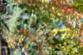 Water Colors - 3H_375513