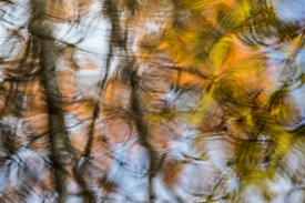 Water Colors - 3H_363513