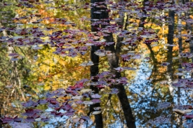 Water Colors - 3H_394813