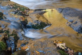 Sweet Creek Falls - 3H_254511