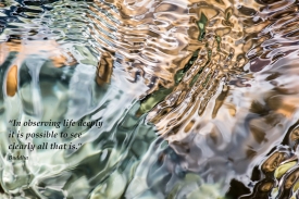 Water Colors - 3H_240513