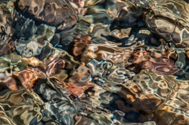 Brice Creek - 3H_039512