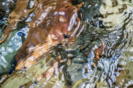 Water Colors - 3H_235913