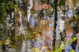 Water Colors - 3H_393913