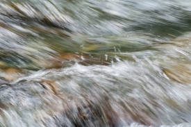 Brice Creek - 3H_399012