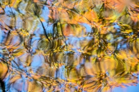 Water Colors - 3H_385213
