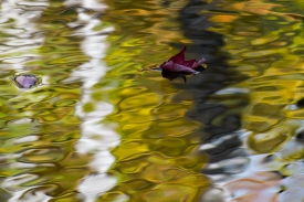 Water Colors - 3H_369513