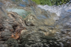 Over-Underwater - 3H_077612
