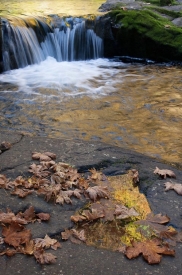 Sweet Creek Falls - 2V_233911