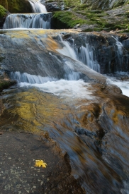 Sweet Creek Falls - 2V_319311