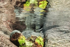 Over-Underwater