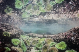 Over-Underwater - 3H_225411