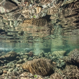 Over-Undewaterr - 1S_016811