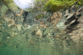 Over-Underwater - 3H_037711