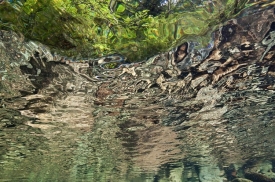 Over-Underwater - 3H_038011