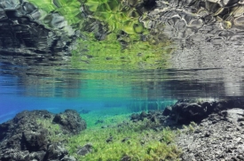 Over-Underwater - 3H_077811