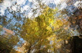 Over-Underwater - 3H_173911