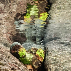 Over-Underwater - 1S_209511