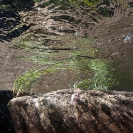 Over-Underwater - 1S_212811