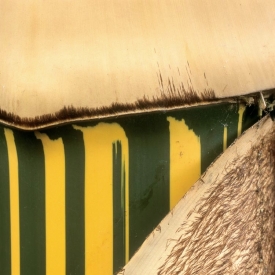 Golden Bamboo - 1S_59106