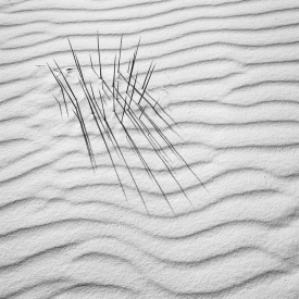 Contrasts - BW_12997