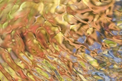 Rivers & Streams