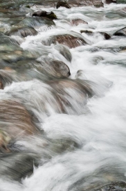 Brice Creek - 2V_100611