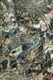 Brice Creek - 2V_041212