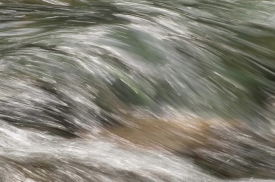 Brice Creek - 3H_394212