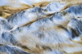 Brice Creek - 3H_999411
