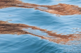 Lake Powell - 3H_607110