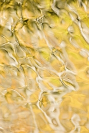 Water-Colors - 2V_67008