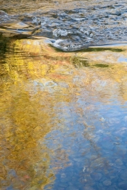 New England - 2V_226607