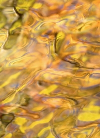 Water-Colors- 2V_66708