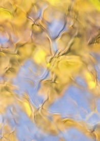 Water-Colors - 2V_67408