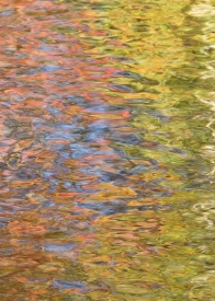 Water-Colors - 2V_67508