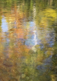 Water-Colors - 2V_68908