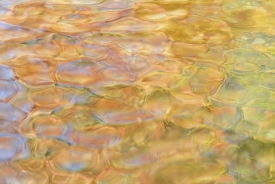 Water-Colors - 3H_66808