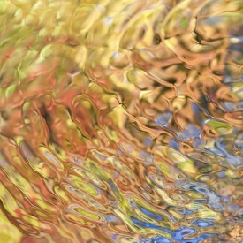 Water-Colors  1S_387312