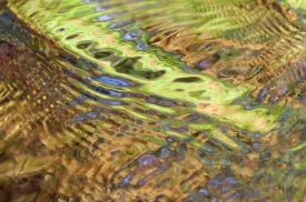 Water-Colors 3H_388512