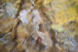 Water-Colors - 3H_440112